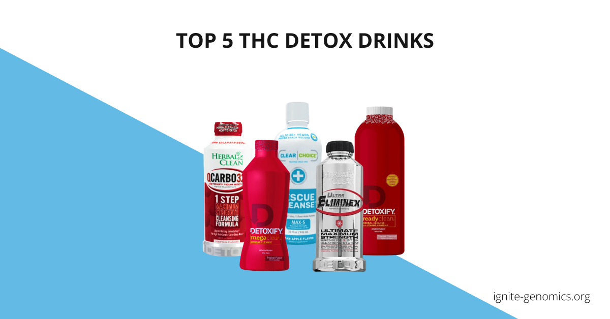 Best THC Detox Drinks for Weed to Pass a Drug Test Description